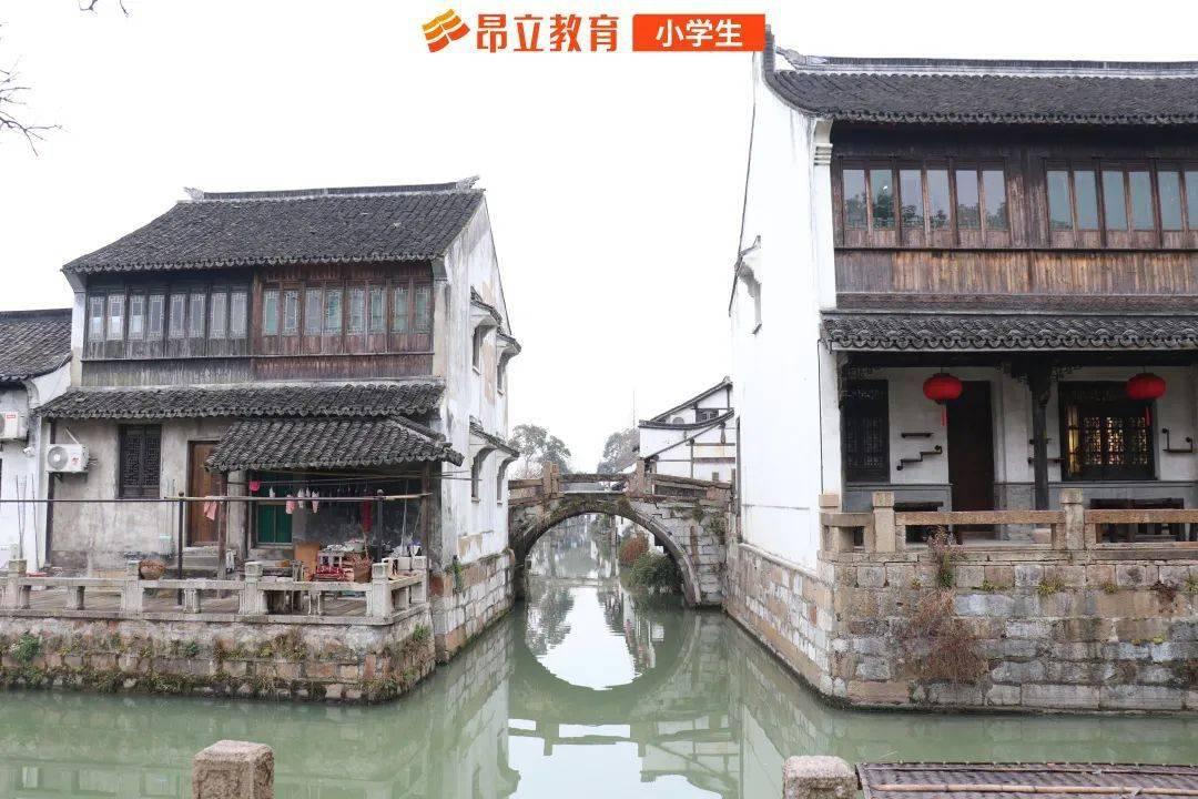 僵尸粉碎机